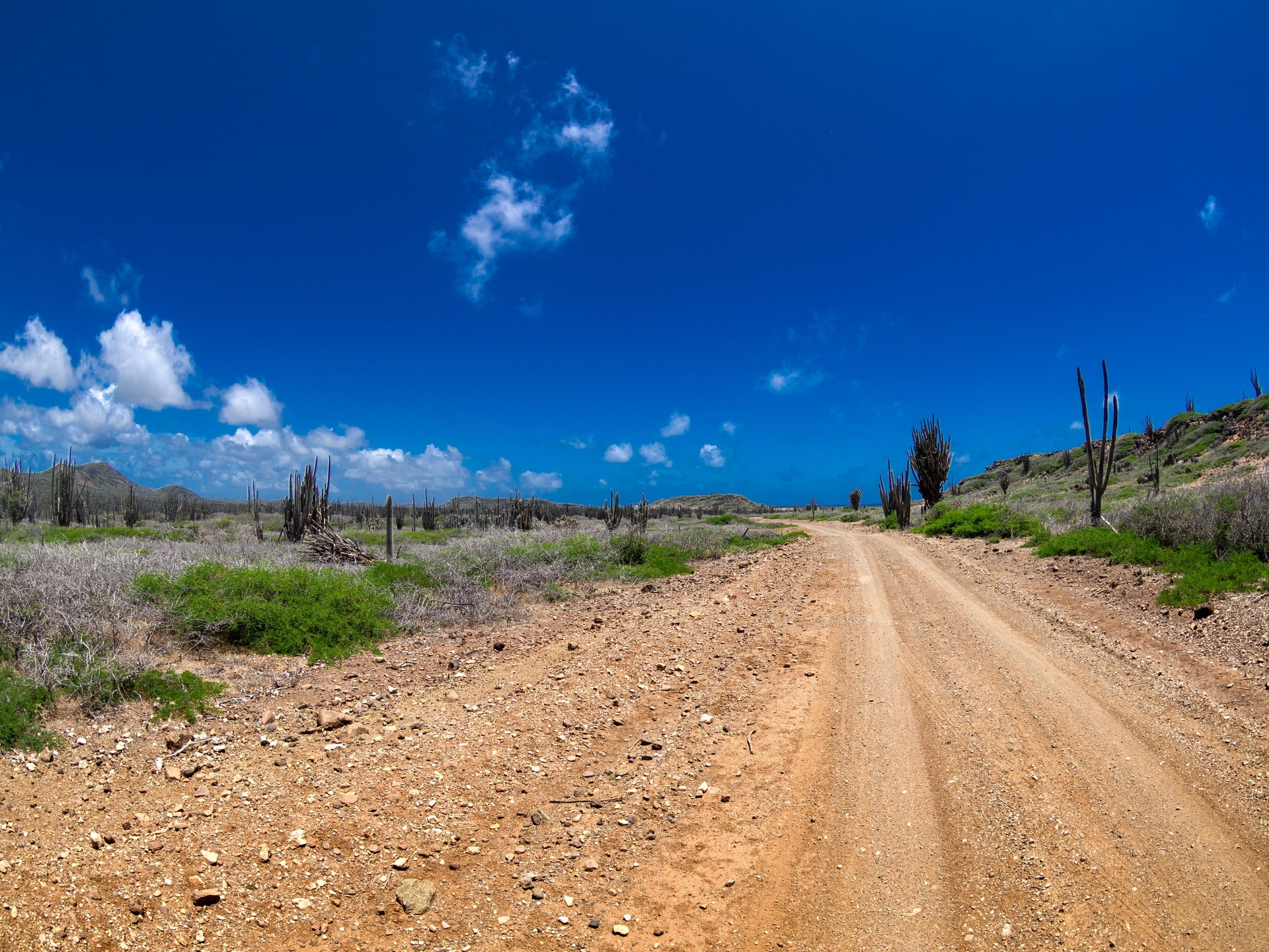 Empty Desert road